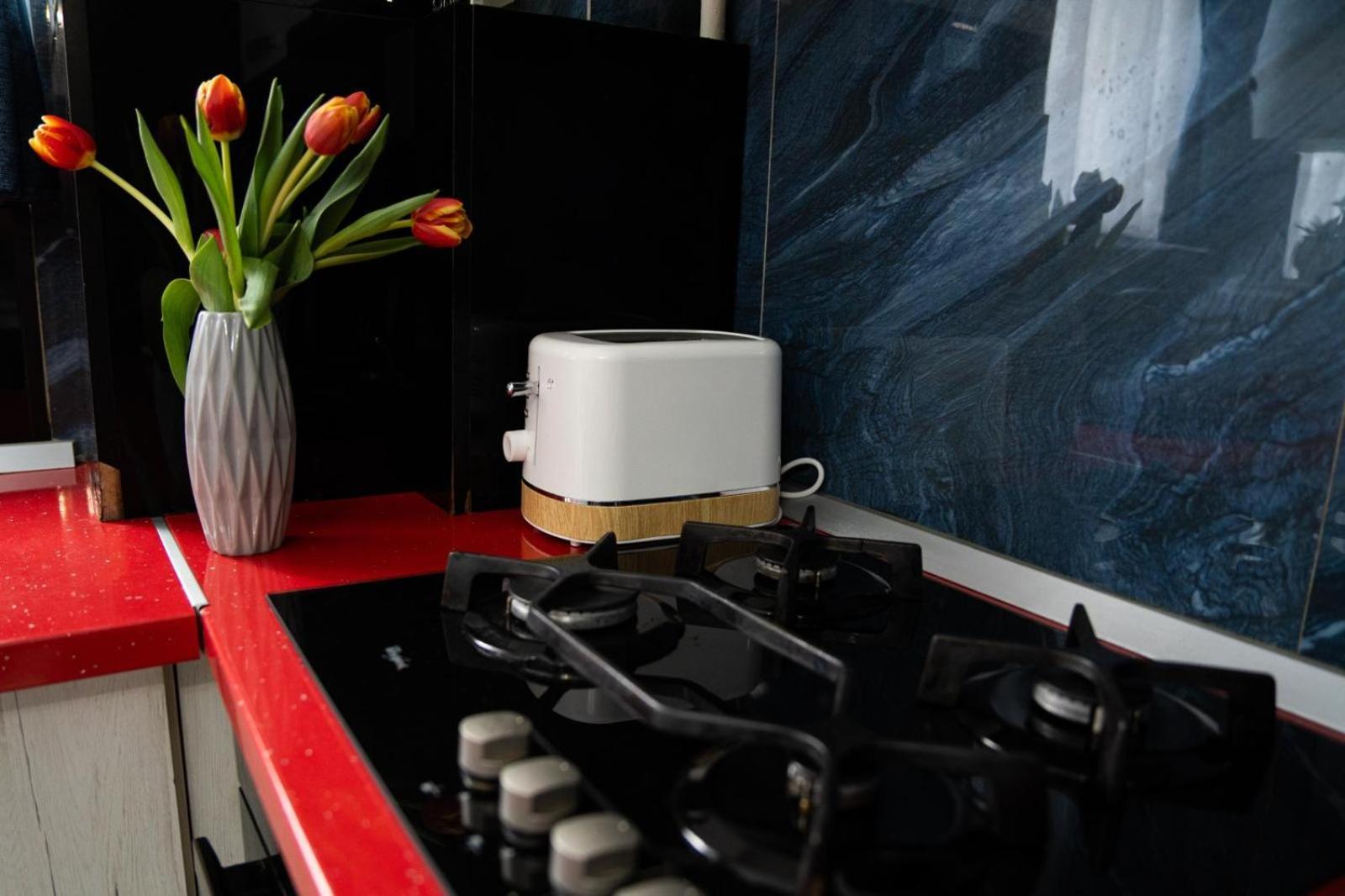 Easy Stay Maurer Residence Târgu-Mureş Zewnętrze zdjęcie